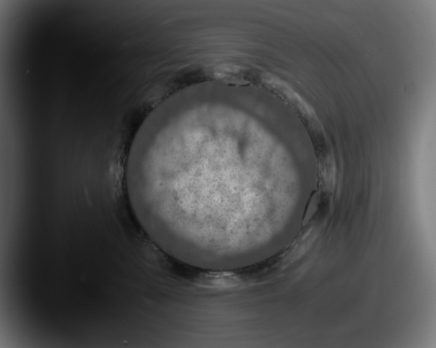 X0000087520427200705181016