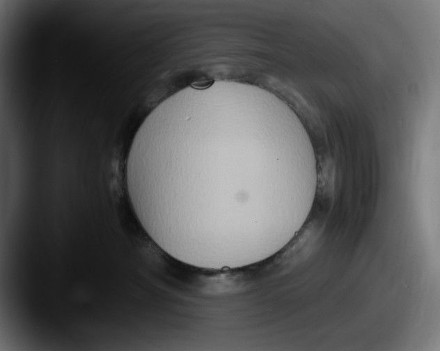 X0000087520430200705181016