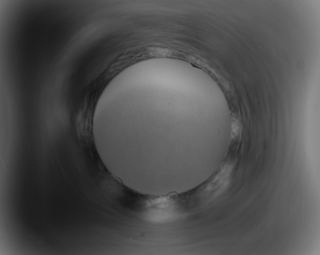 X0000087520431200705181016