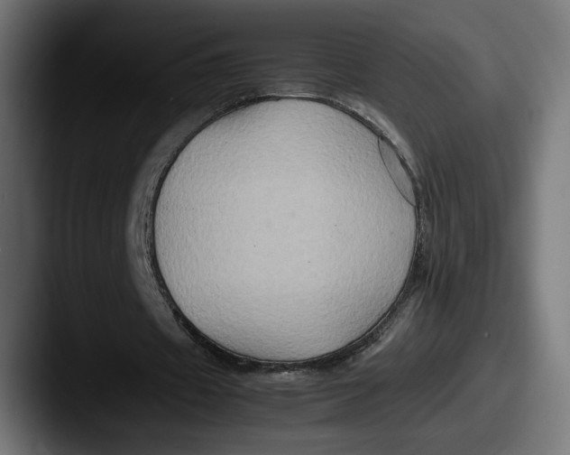 X0000087520433200705181015