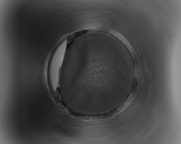 X0000087520434200705181015