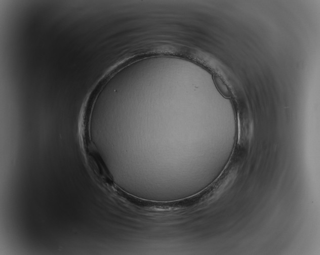 X0000087520435200705181015