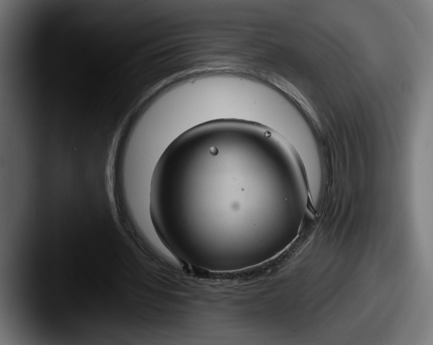 X0000087520436200705181015