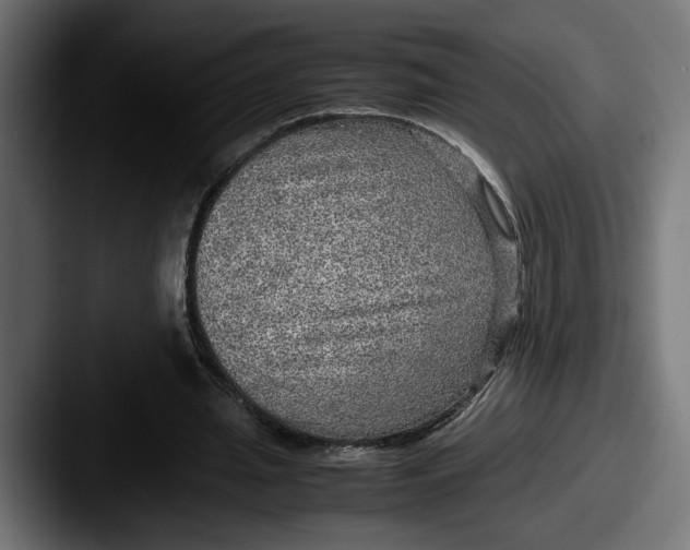 X0000087520437200705181015