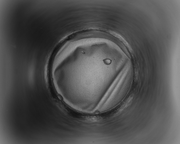 X0000087520439200705181015