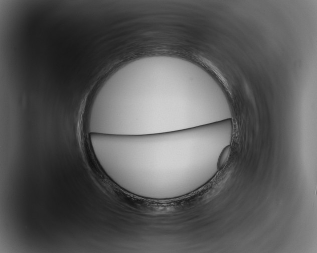 X0000087520443200705181015