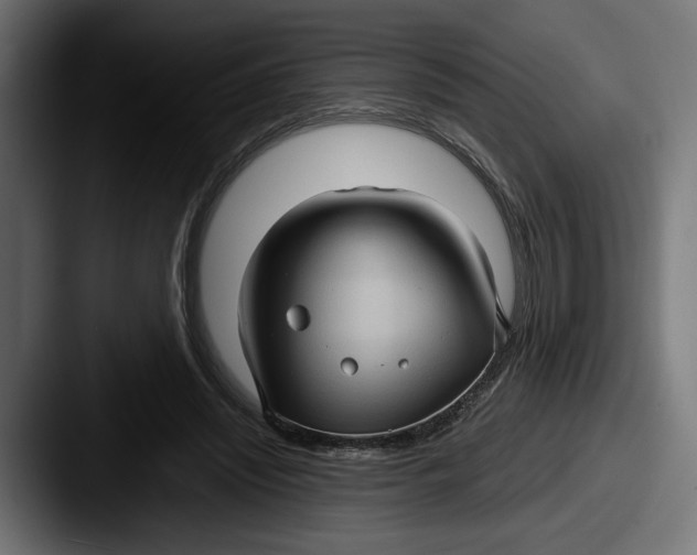 X0000087520444200705181015