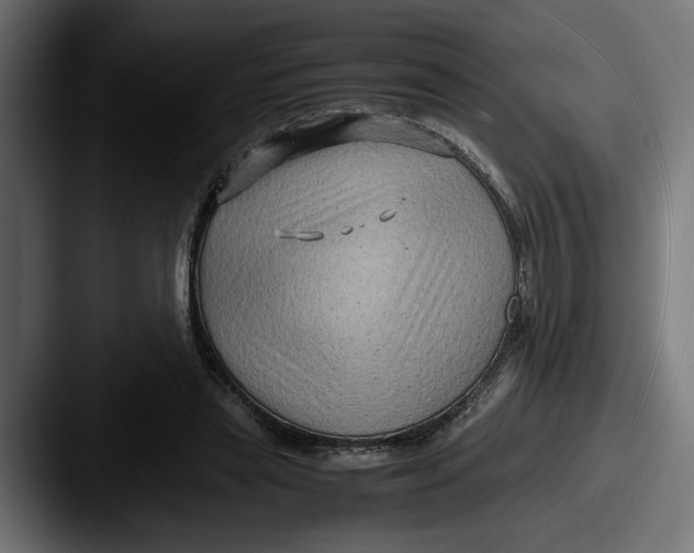 X0000087520445200705181015