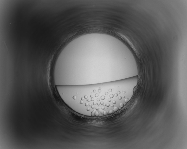 X0000087520447200705181015