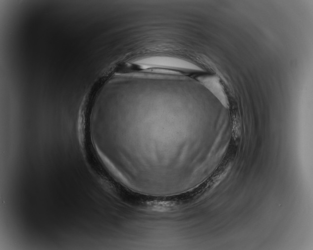 X0000087520448200705181015