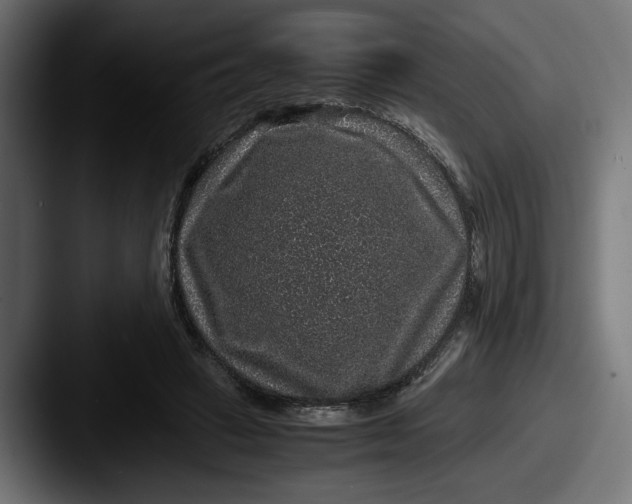 X0000087520449200705181015