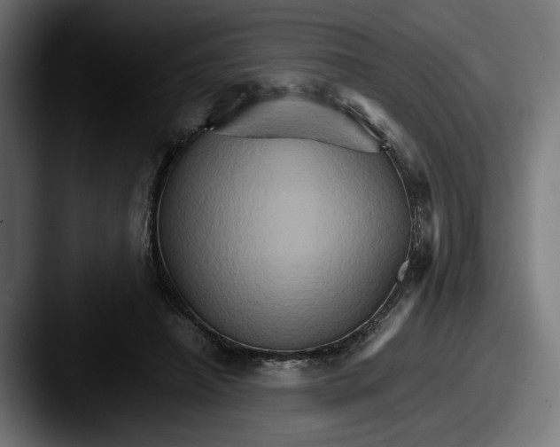 X0000087520450200705181015