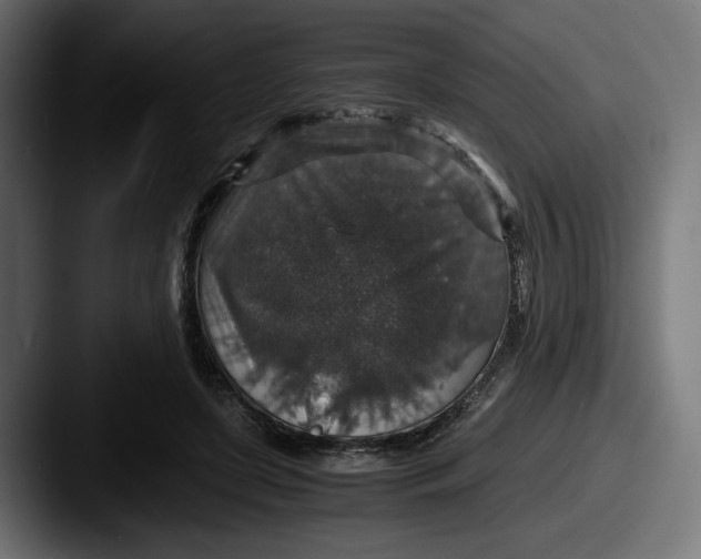 X0000087520451200705181015