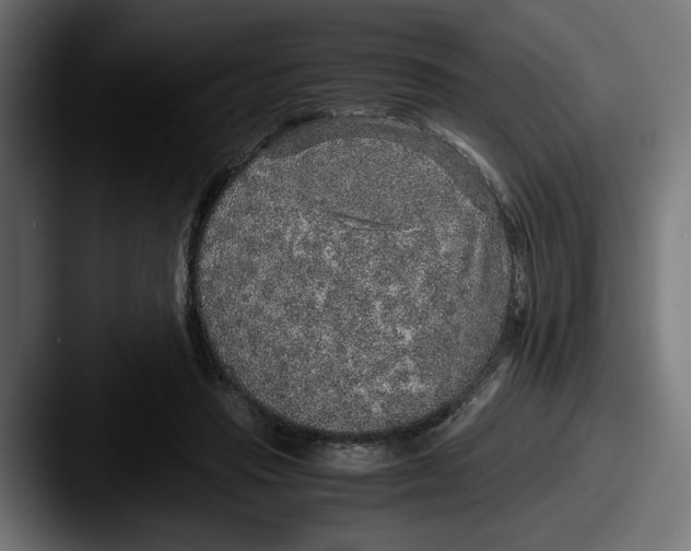 X0000087520453200705181015