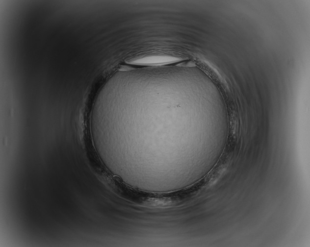 X0000087520455200705181015