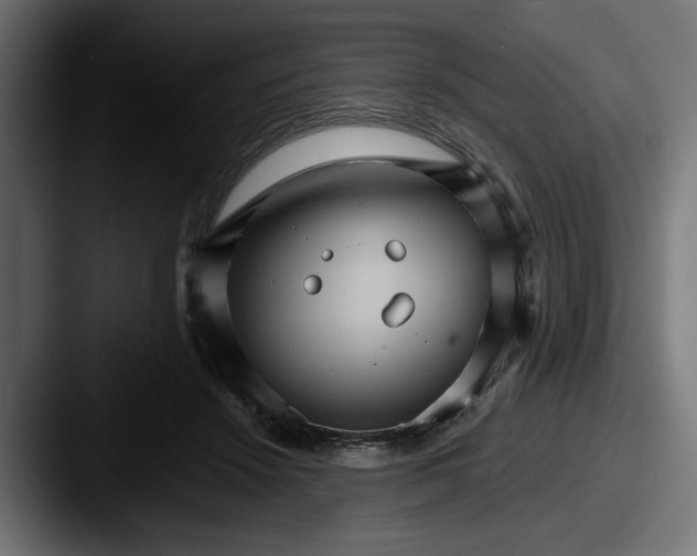 X0000087520456200705181015