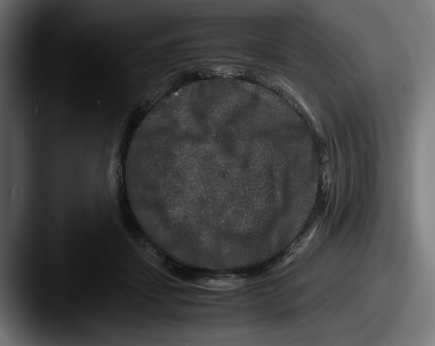 X0000087520459200705181015