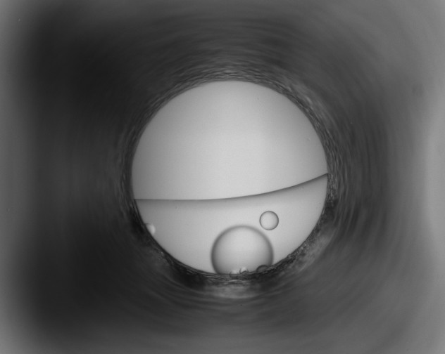 X0000087520463200705181015