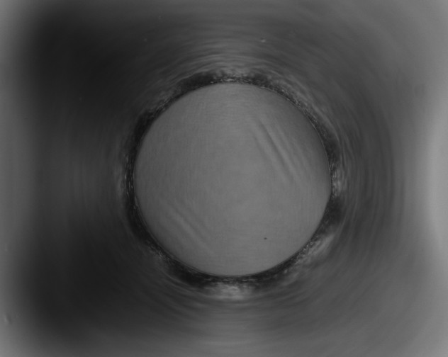 X0000087520464200705181015