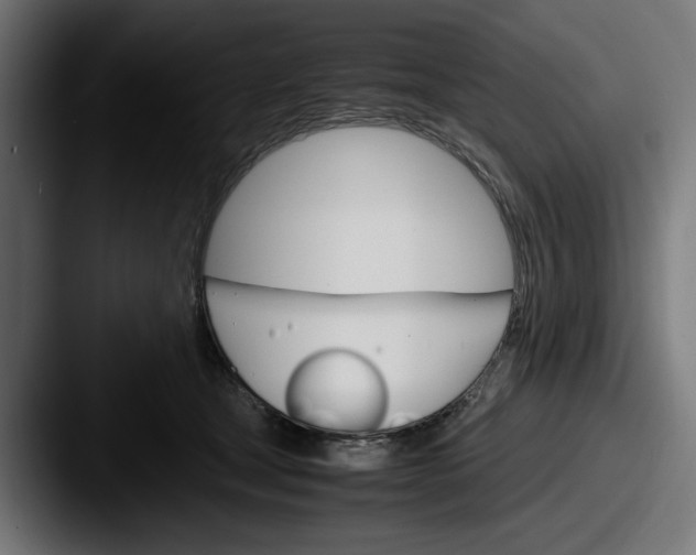 X0000087520465200705181015