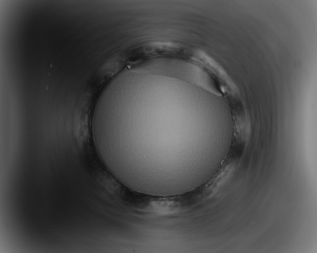 X0000087520470200705181015