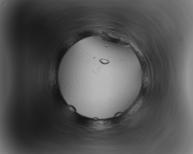 X0000087520473200705181016