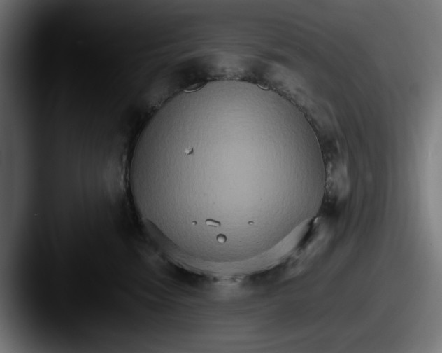 X0000087520474200705181016