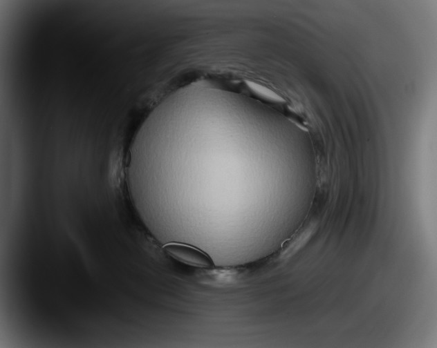 X0000087520478200705181016