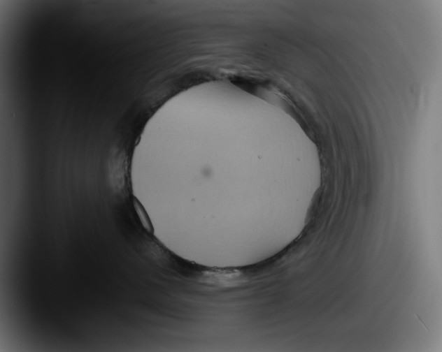 X0000087520480200705181016