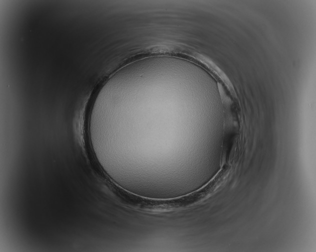 X0000087520485200705181015