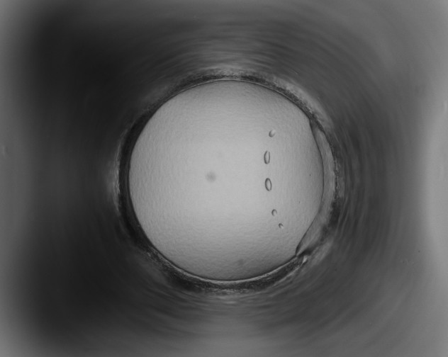 X0000087520486200705181015