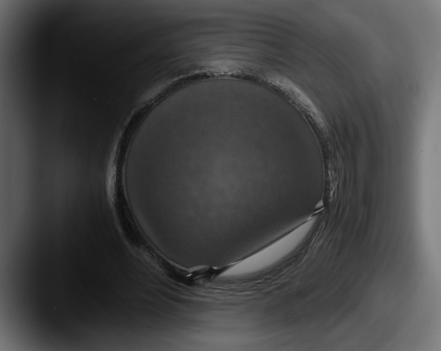 X0000087520488200705181015