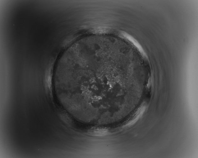 X0000087520491200705181015