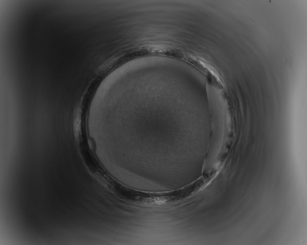 X0000087520492200705181015