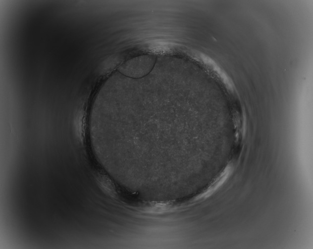 X0000087520495200705181015