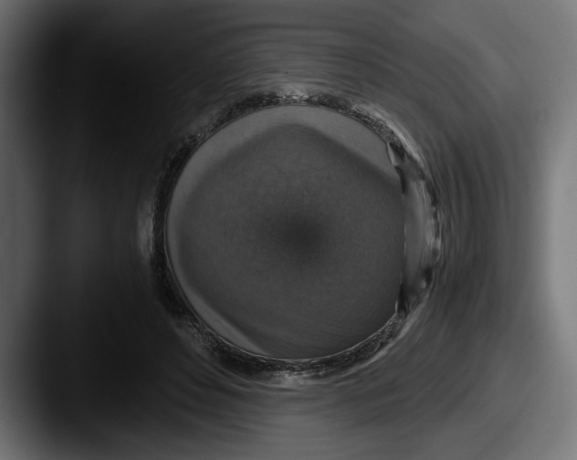 X0000087520496200705181015