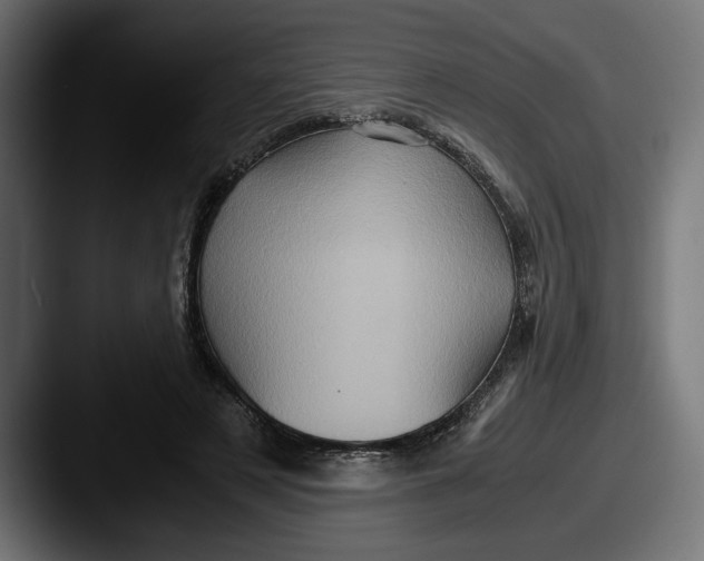 X0000087520497200705181015