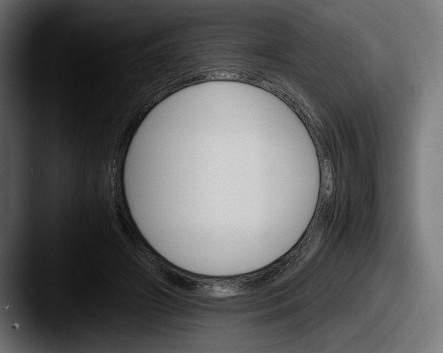 X0000087520498200705181015