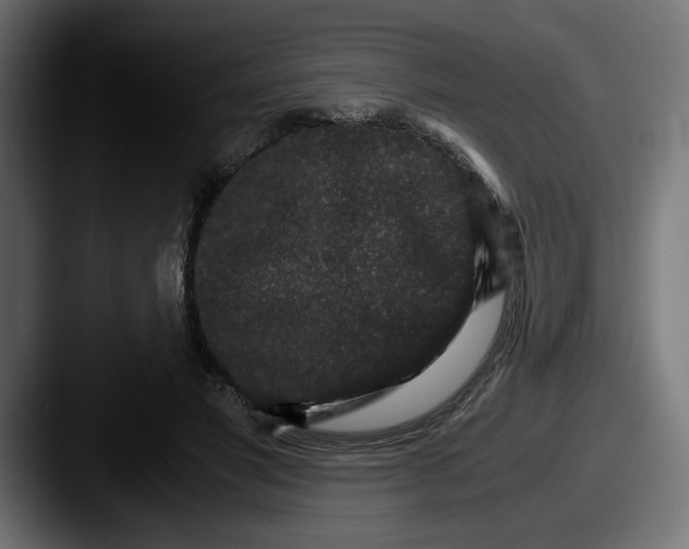 X0000087520501200705181015