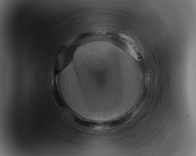 X0000087520504200705181015