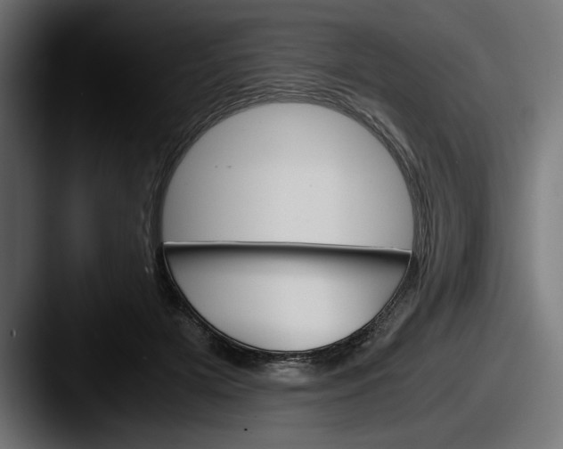 X0000087520505200705181015