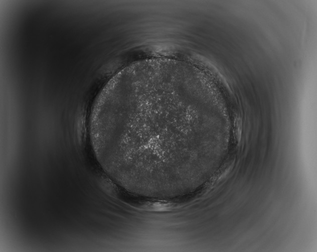 X0000087520506200705181015