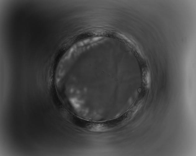 X0000087520507200705181015