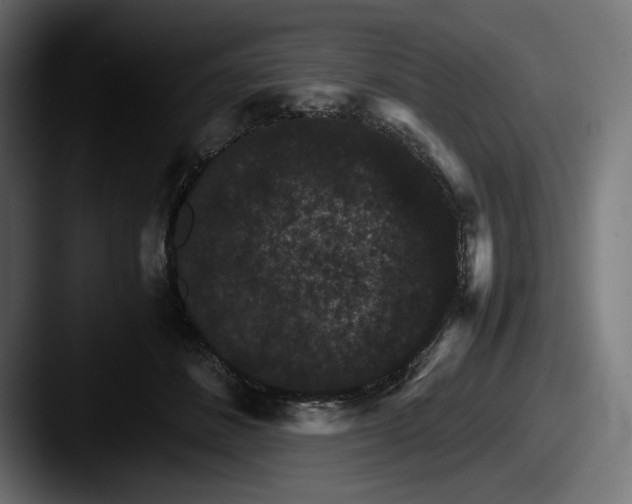 X0000087520508200705181015