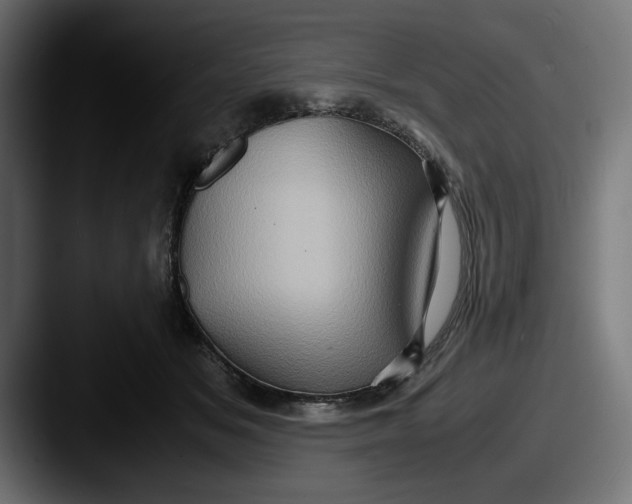 X0000087520509200705181015