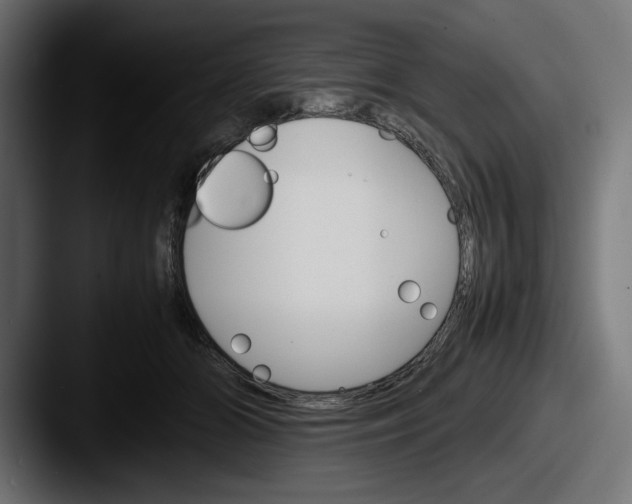 X0000087520510200705181015