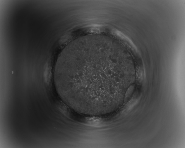 X0000087520511200705181015