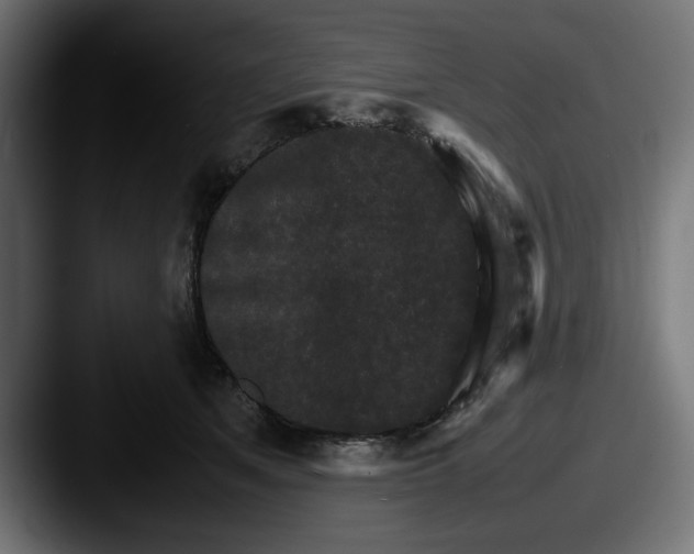 X0000087520513200705181015