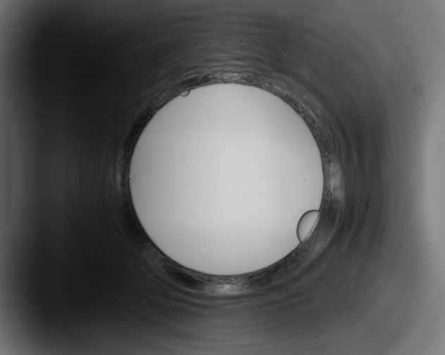 X0000087520514200705181015