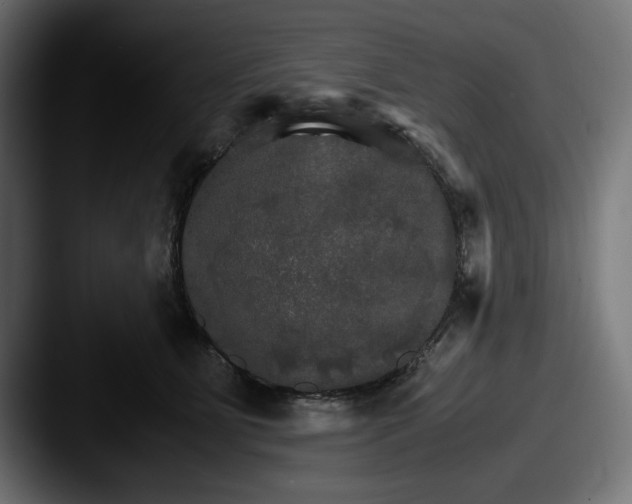 X0000087520515200705181015